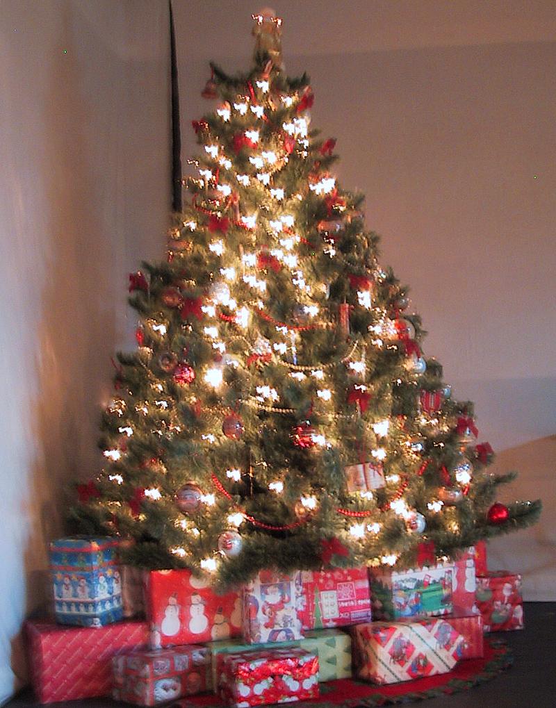 What the tree looked like!